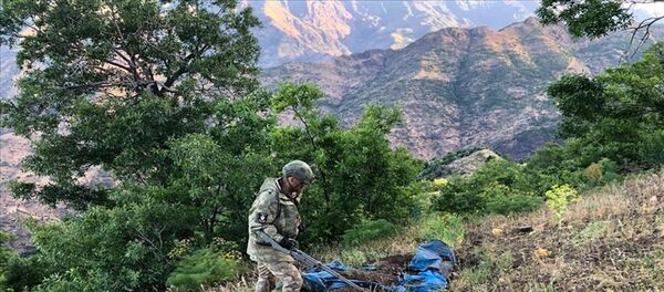 Pençe Harekatı - Sputnik Türkiye