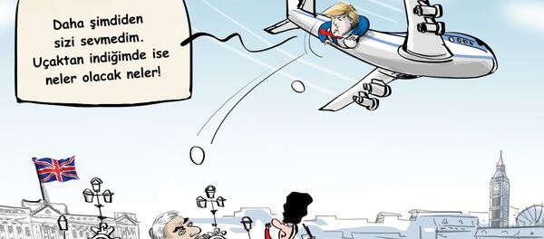 Karikatür - Sputnik Türkiye
