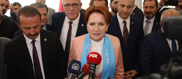 Meral Akşener - Sputnik Türkiye