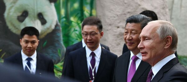 Vladimir Putin- Şi Cinping- Panda - Sputnik Türkiye