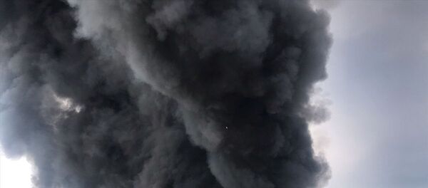 Yangın, 30'a yakın araçla itfaiye ekiplerinin 5 bölgeden yürüttüğü yaklaşık 4.5 saat süren çalışmasıyla kontrol altına alındı.  - Sputnik Türkiye