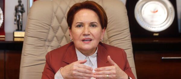 Meral Akşener - Sputnik Türkiye