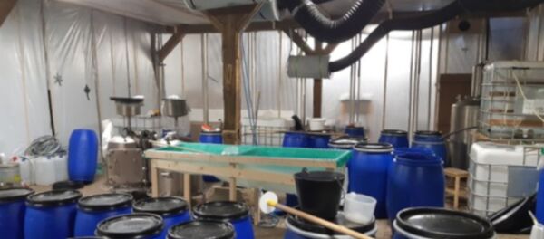 Hollanda’da, fırtınanın yıktığı ağaç sayesinde ülke tarihinin en büyük uyuşturucu laboratuvarlarından birinin tespit edildiği belirtti. - Sputnik Türkiye