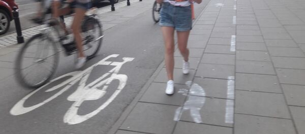 Polonya, akıllı telefon, yol - Sputnik Türkiye