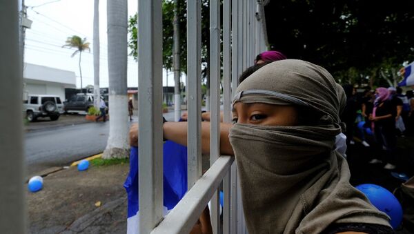 Nikaragua, protesto - Sputnik Türkiye