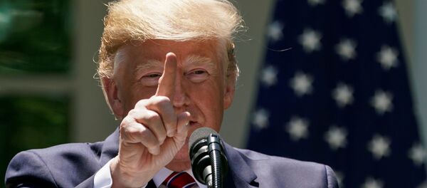 Donald Trump, Polonya - Sputnik Türkiye