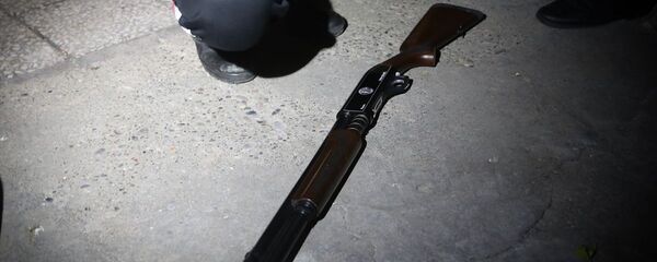 Pompalı tüfek - Sputnik Türkiye