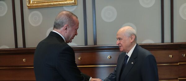 Recep Tayyip Erdoğan - Devlet Bahçeli - Sputnik Türkiye