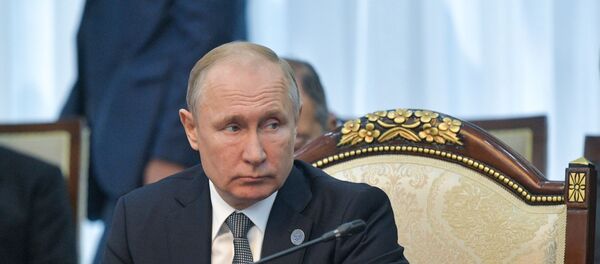 Vladimir Putin - Sputnik Türkiye