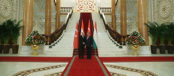 Recep Tayyip Erdoğan - İmamali Rahman  - Sputnik Türkiye