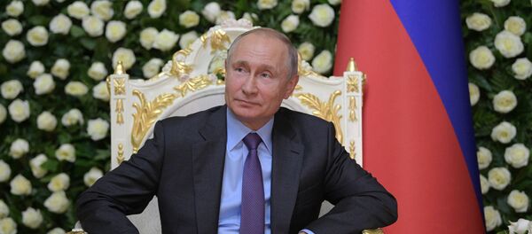 Vladimir Putin  - Sputnik Türkiye