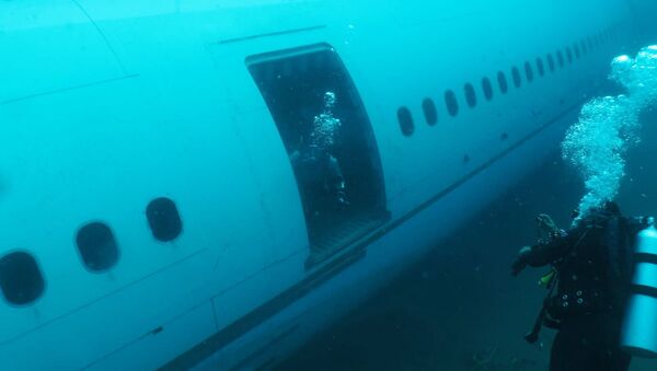 Denize batırılan yolcu uçağı - Sputnik Türkiye