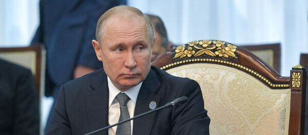 Rusya Devlet Başkanı Vladimir Putin - Sputnik Türkiye