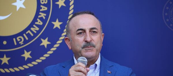 Dışişleri Bakanı Mevlüt Çavuşoğlu - Sputnik Türkiye