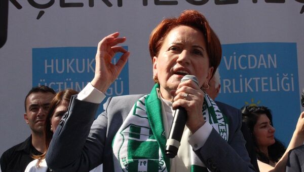 İYİ Parti Genel Başkanı Meral Akşener - Sputnik Türkiye