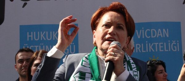 İYİ Parti Genel Başkanı Meral Akşener - Sputnik Türkiye