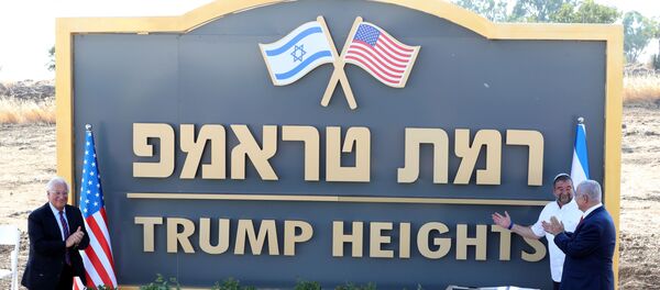 Trump Tepeleri - Sputnik Türkiye