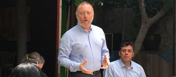 HDP Eş Genel Başkanı Sezai Temelli - Sputnik Türkiye