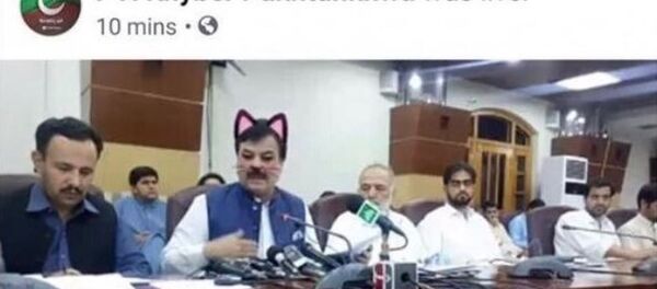 Pakistanlı bakanın kedi kulaklarıyla olan görüntüleri sosyal medyaya yansıdı - Sputnik Türkiye