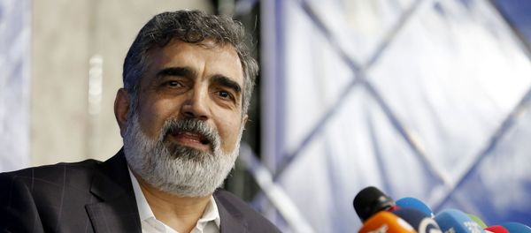 Behrouz Kamalvandi - Sputnik Türkiye