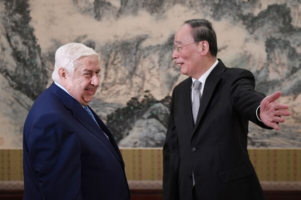 Suriye Dışişleri Bakanı Muallim: Türkiye ile çatışma istemiyoruz - Sputnik Türkiye