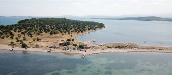 Çiçek adası - Sputnik Türkiye