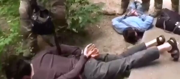 Rusya’nın 6 federal bölgesinde IŞİD için para toplayan finansman ağı ortaya çıkartıldı - Sputnik Türkiye