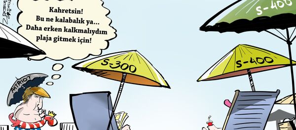 Karikatür - Sputnik Türkiye