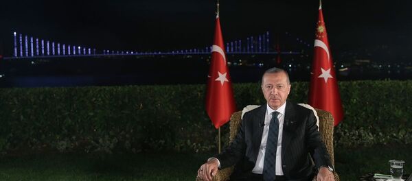 Cumhurbaşkanı Recep Tayyip Erdoğan - Sputnik Türkiye