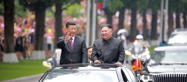 Kuzey Kore lideri Kim Jong-un ve Çin Devlet Başkanı Şi Cinping - Sputnik Türkiye