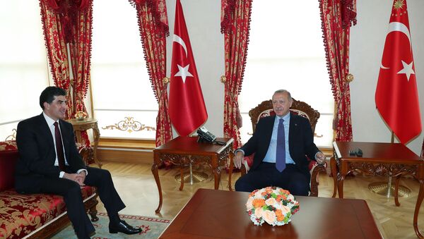 Recep Tayyip Erdoğan - Neçirvan Barzani - Sputnik Türkiye