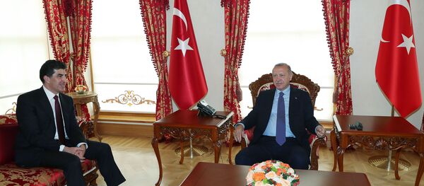 Recep Tayyip Erdoğan - Neçirvan Barzani - Sputnik Türkiye