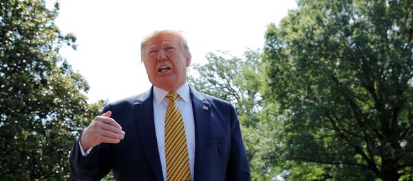 Donald Trump - Sputnik Türkiye