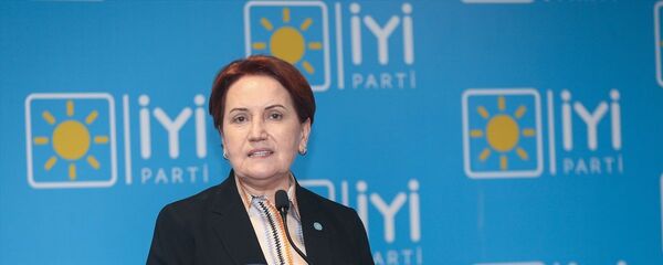 İYİ Parti Genel Başkanı Meral Akşener - Sputnik Türkiye