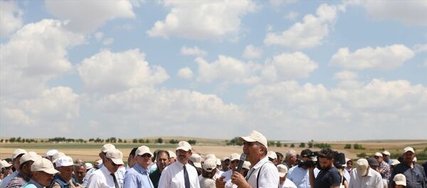 Yerli ve milli tohumlar tanıtıldı Yerli ve milli tohumlar tanıtıldı - Sputnik Türkiye