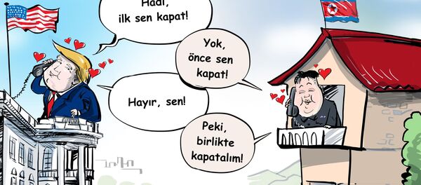 Karikatür - Sputnik Türkiye