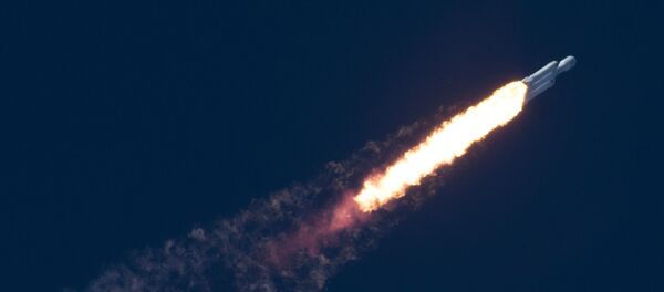 Space X Falcon Heavy - Sputnik Türkiye