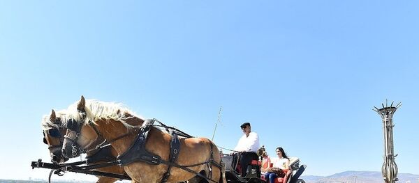 Fayton - Sputnik Türkiye