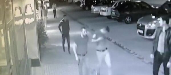 'Burada top oynayamazsınız' kavgası: İki garsonu yaraladı, yanlışlıkla kardeşini de vurdu - Sputnik Türkiye