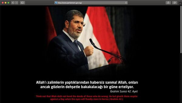 Türk siber korsanlar Mısır'daki bazı devlet sitelerini hackledi - Sputnik Türkiye