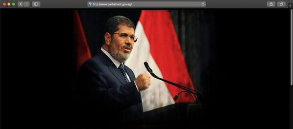 Türk siber korsanlar Mısır'daki bazı devlet sitelerini hackledi - Sputnik Türkiye