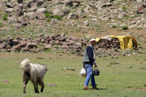 Berivan ve çobanların 3 bin rakımlı yaylada 180 günlük zorlu mesaisi - Sputnik Türkiye