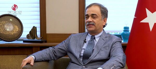 Hayri Baraçlı - Sputnik Türkiye