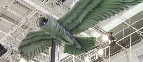 Baykuş görünümlü İHA - Sputnik Türkiye