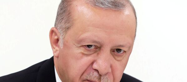 Recep Tayyip Erdoğan - Sputnik Türkiye