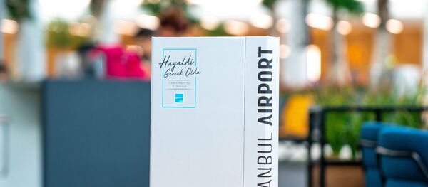 İstanbul Havalimanı’nın yapım hikayesi kitap oldu İstanbul Havalimanı’nın yapım hikayesi kitap oldu - Sputnik Türkiye