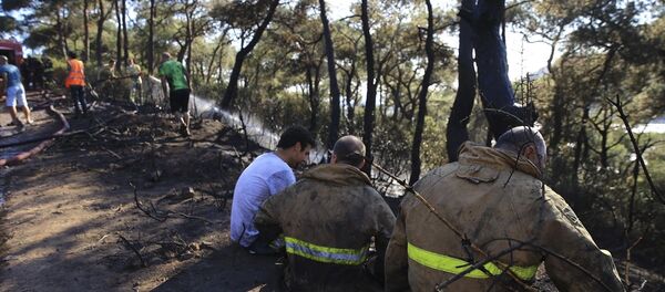 Heybeliada'da çıkan orman yangını - Sputnik Türkiye