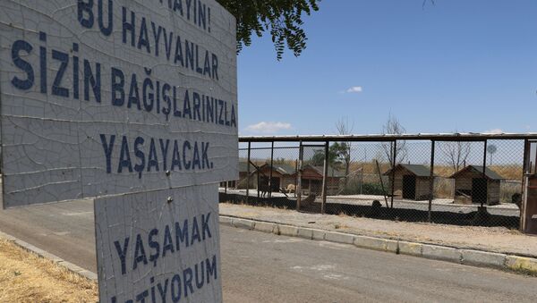 Diyarbakır - Hayvanlar için gönderilen ekmeği satan veterinere uzaklaştırma - Sputnik Türkiye