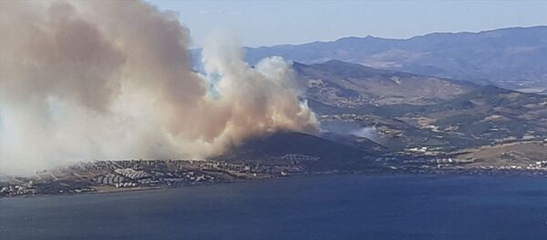 İzmir'in Dikili ilçesinde makilik ve ormanlık alanda çıkan yangının söndürülmesine çalışılıyor. - Sputnik Türkiye