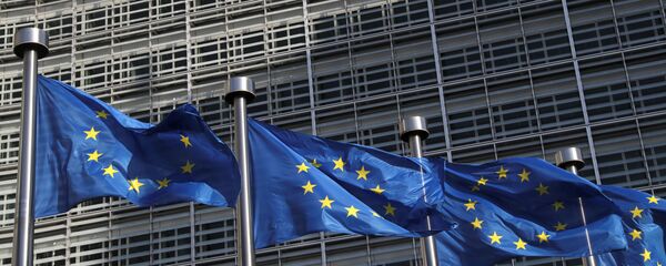 Avrupa Komisyonu'nda Avrupa Birliği (AB) bayrakları - Sputnik Türkiye